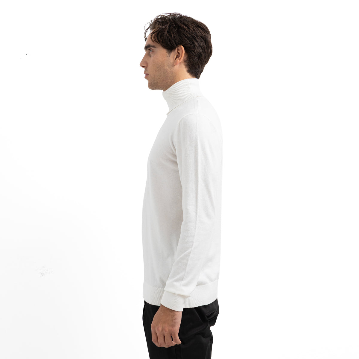 Regular Fit Basic High-Neck Pullover