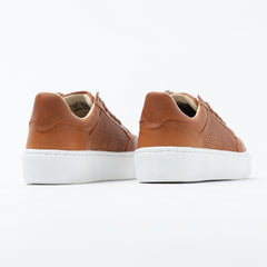 Shoes SNK Casual-FC-2601-S26