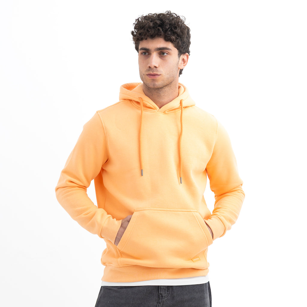 Sweatshirt Hoodie SWS-000352-W27