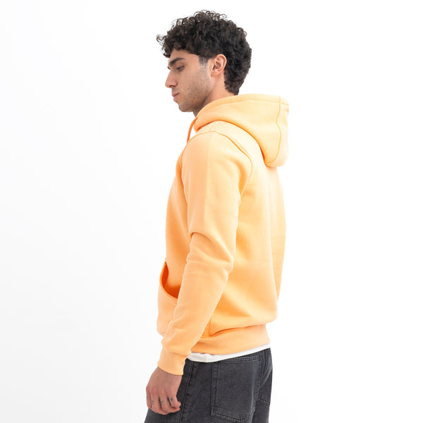 Sweatshirt Hoodie SWS-000352-W27