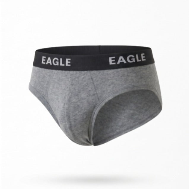 Briefs Basic SL-422-S26 Main image